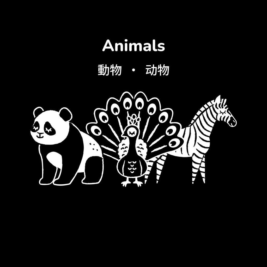 Cover image for Animals high contrast book