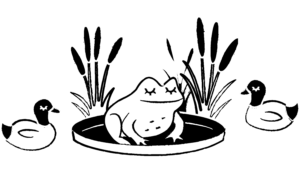 High contrast illustration of a frog and ducks in a pond. Part of the playful imagery found in the playful childrens books in 4 languages by Mossling Press.