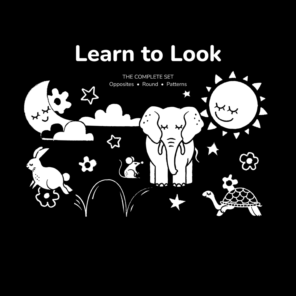 Cover image for Learn to Look bind-up high contrast book