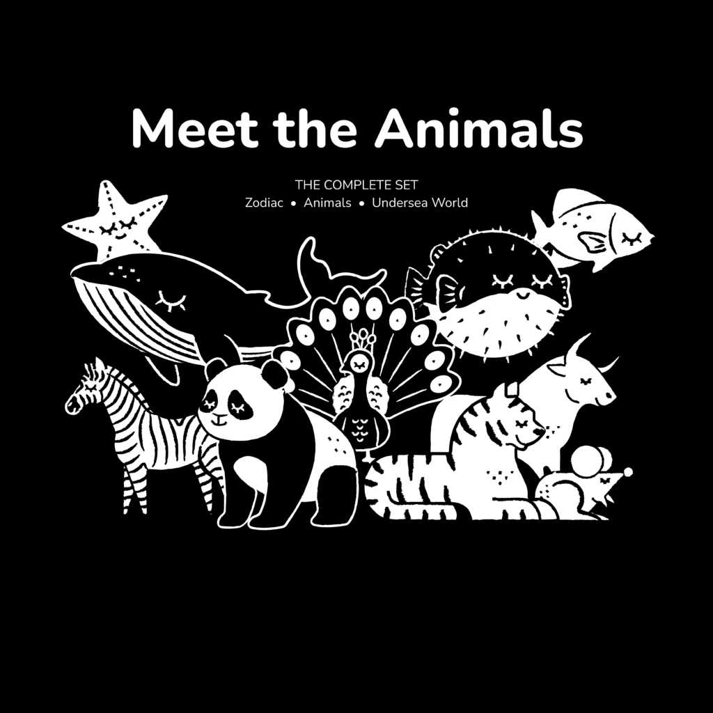 Cover image for Meet the Animals bind-up high contrast book