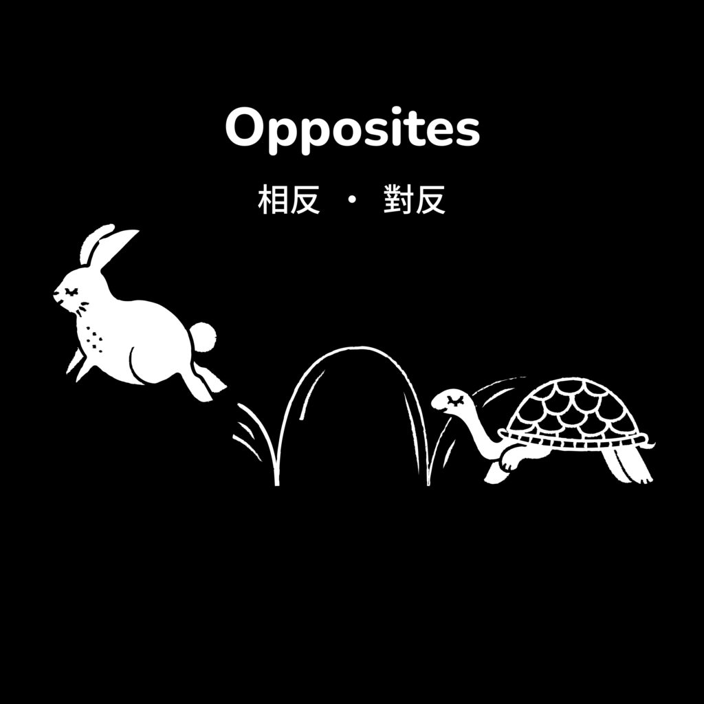 Cover image for Opposites high contrast book