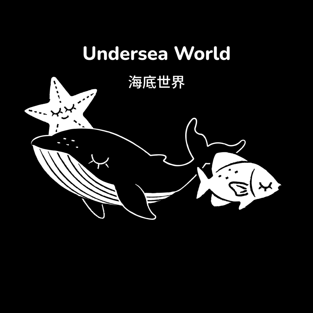 Cover image for Undersea World high contrast book