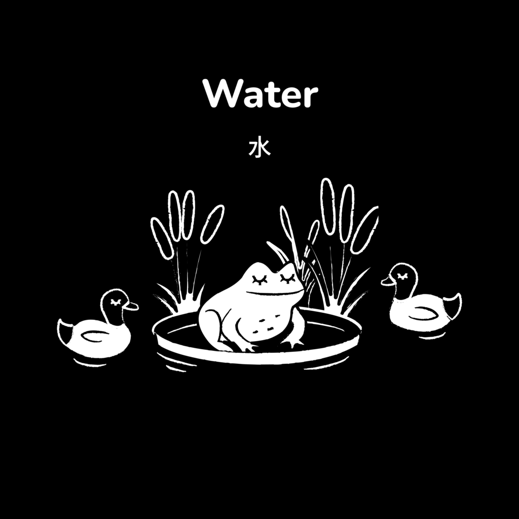 Cover image for Water high contrast book