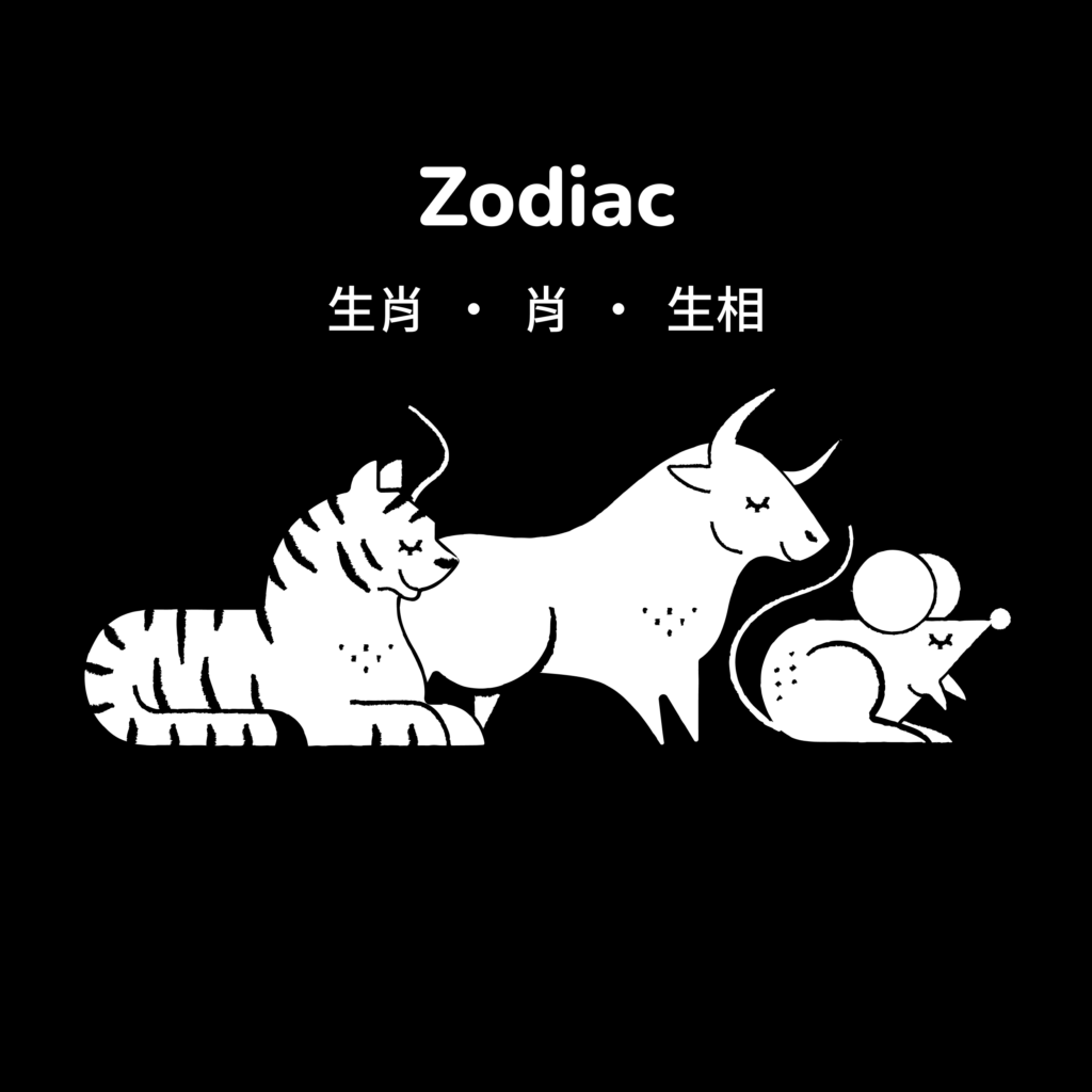 Cover image for Zodiac high contrast book
